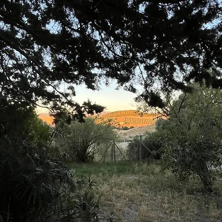 Podere Le Terre Cotte Campagnatico