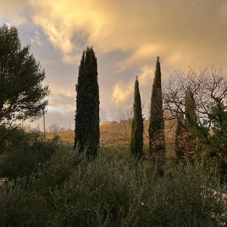 Apartment Podere Le Terre Cotte