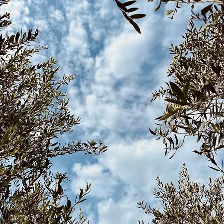 Podere Le Terre Cotte Apartmán Campagnatico