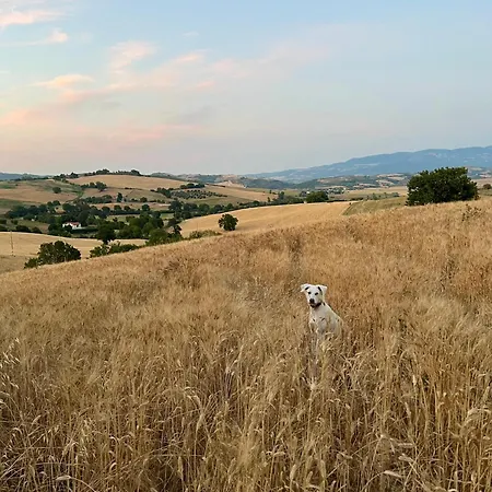 Podere Le Terre Cotte * Campagnatico